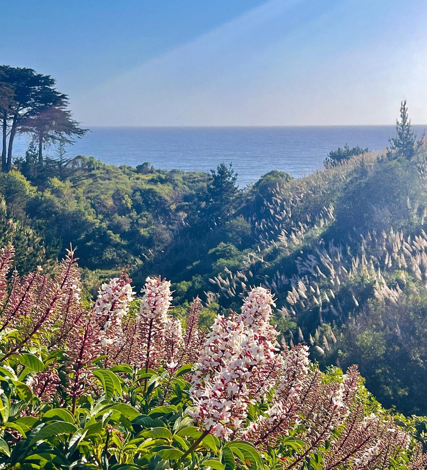 Royal Villa - Ocean View - Heated Pools - Seascape'S Best 1 Bedroom - 3 Beds - End Unit Aptos Exterior photo